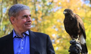 Author with the Harris's hawk