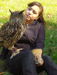 Talons Skye with European eagle owl